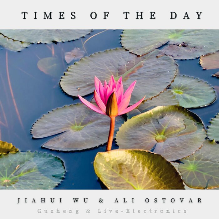 Times of the Day Cover